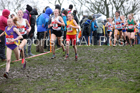 Junior girls 2019 New Balance English Schools Cross Country Champs, Temple Newsam, Leeds. Photo:  David T. Hewitson/Sports for All Pics